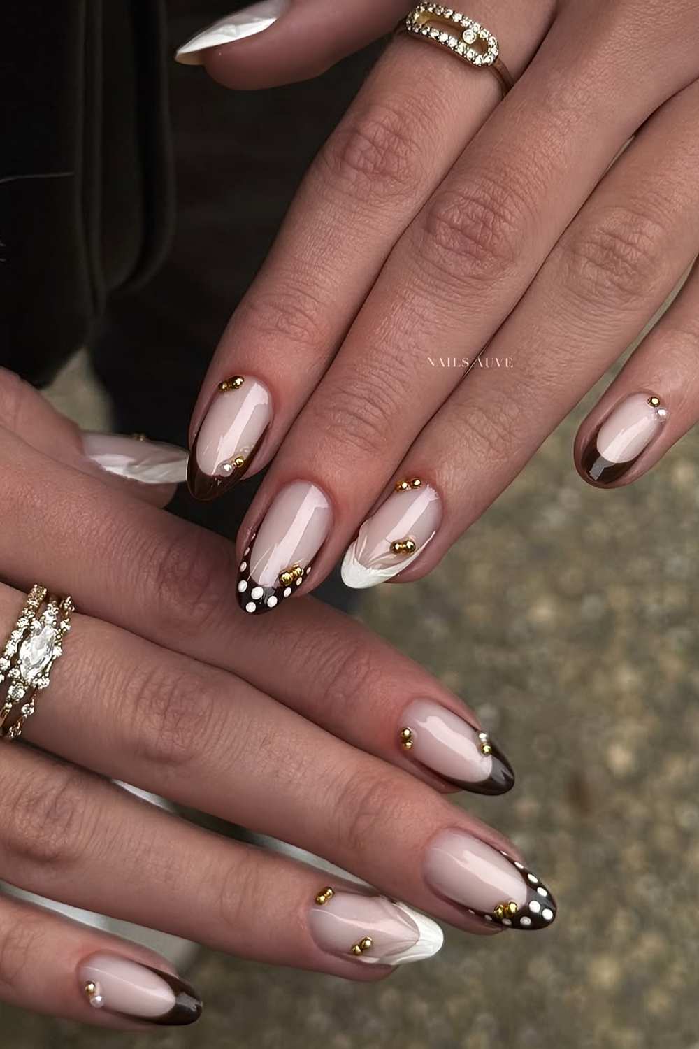 Braune weisse Frenchies mit Punkten und Gold