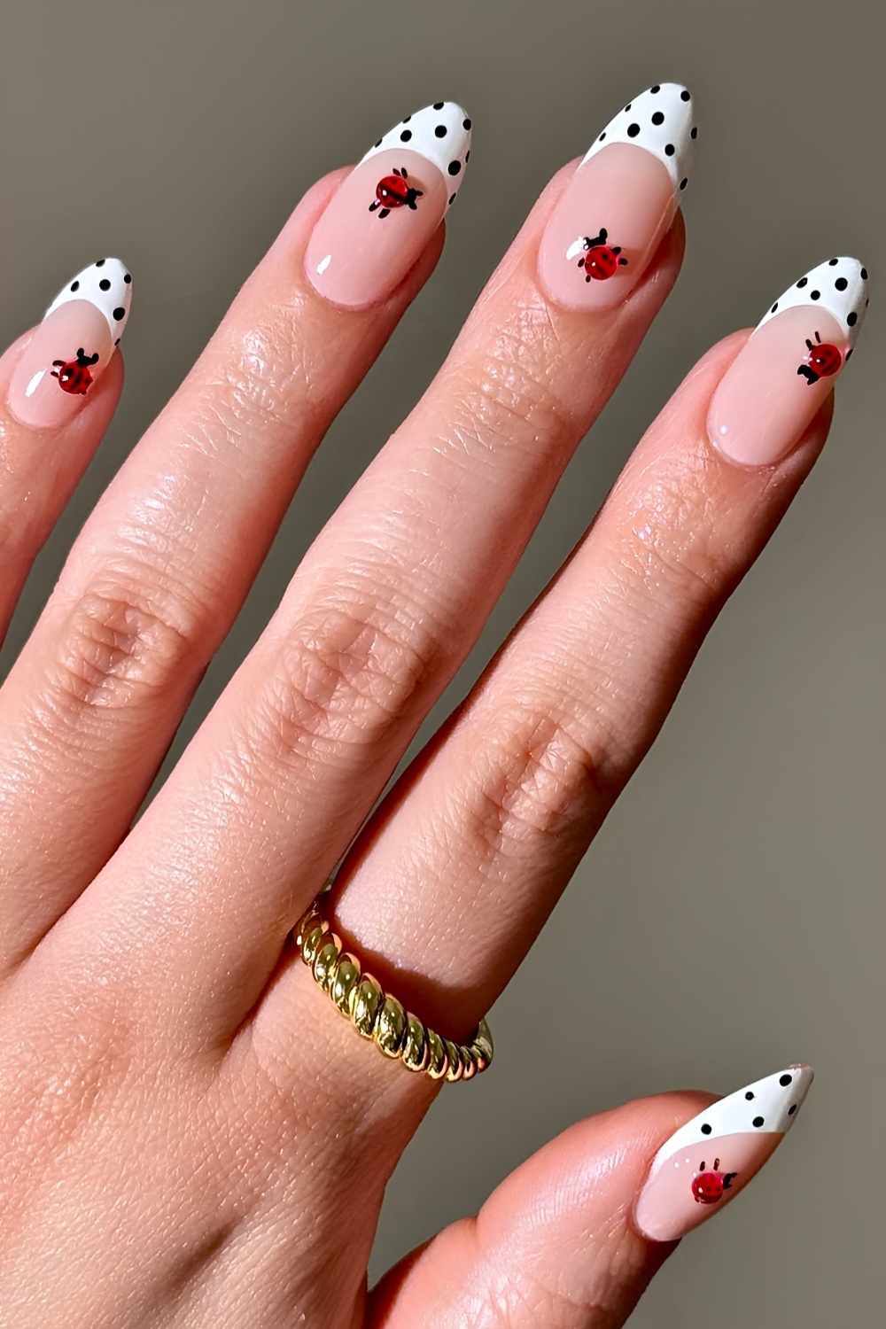 Weiss schwarze Polka Dot Frenchies mit Marienkaefern